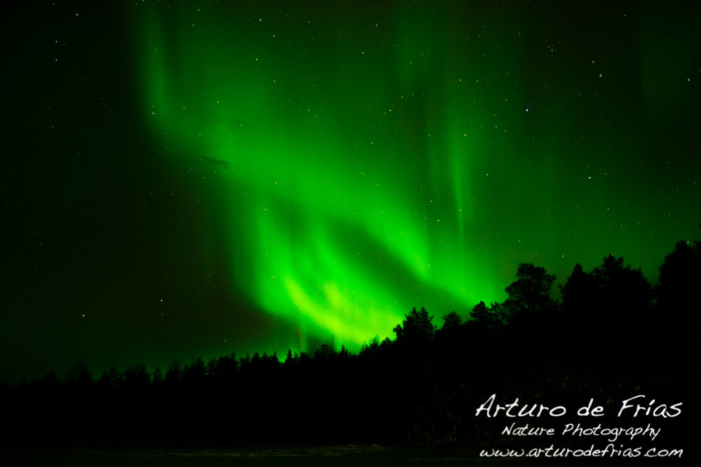Aurora Borealis III