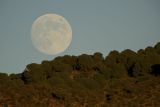 Full Moon, Andujar