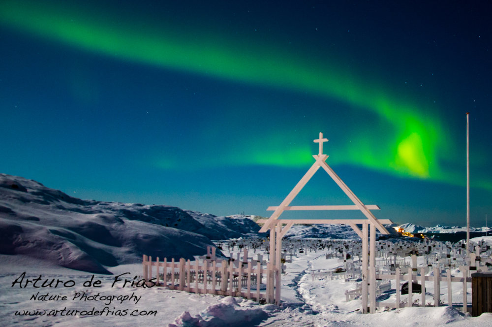 Aurora in the Graveyard