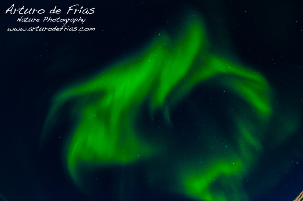 Green Dragon of Fire