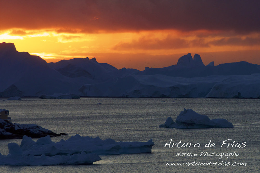 Icebergs on Fire