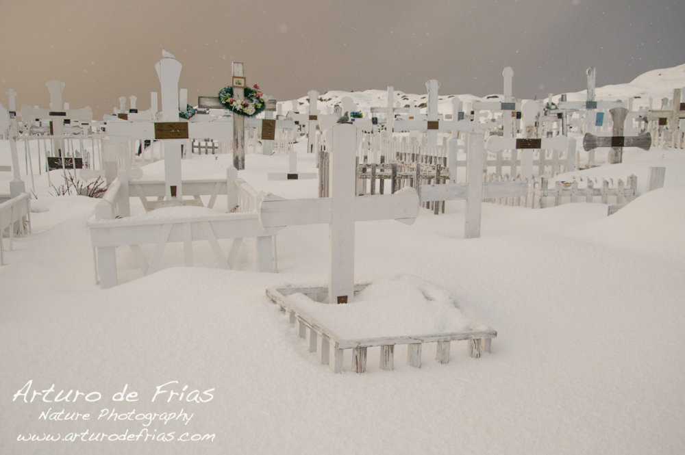 The nicest, whitest graveyard