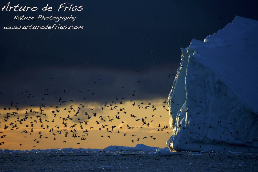 Ilulissat Ice Fjord