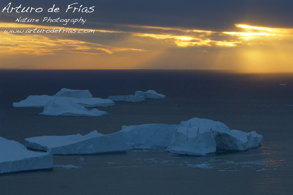 Sunset in the Ice Fjord