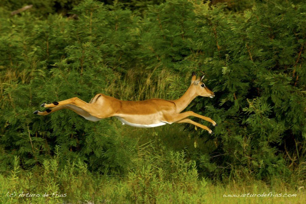 Flying high