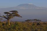 Kilimanjaro, Tanzania