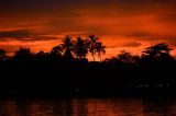 Kinabatangan River, Borneo