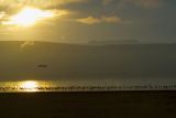 Lake Nakuru, Amboselli, Kenya