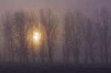 Castilla in Winter, Spain