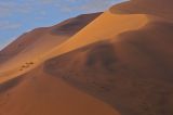 Namib Desert
