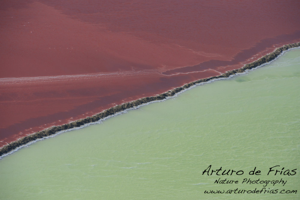 Salt Pans Abstract