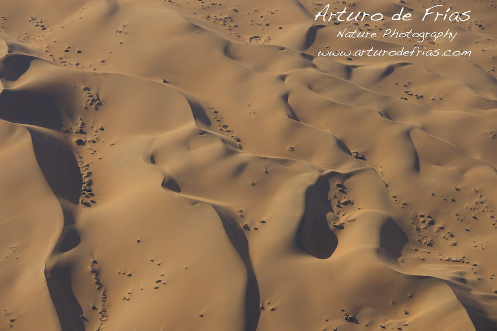Sea of Sand Dunes from the Air