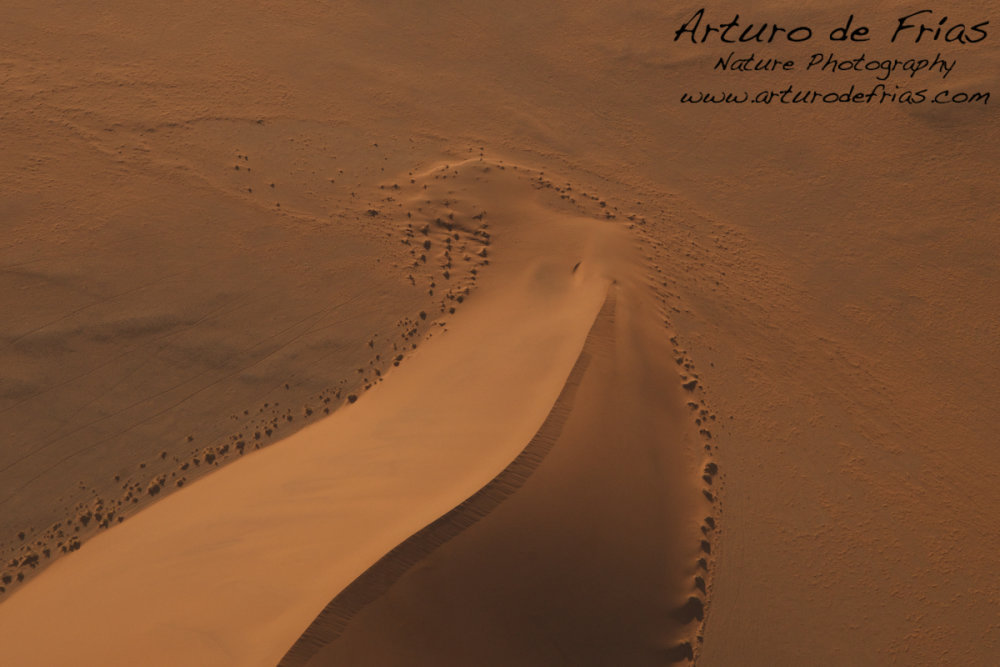 Red Dunes Abstract 2