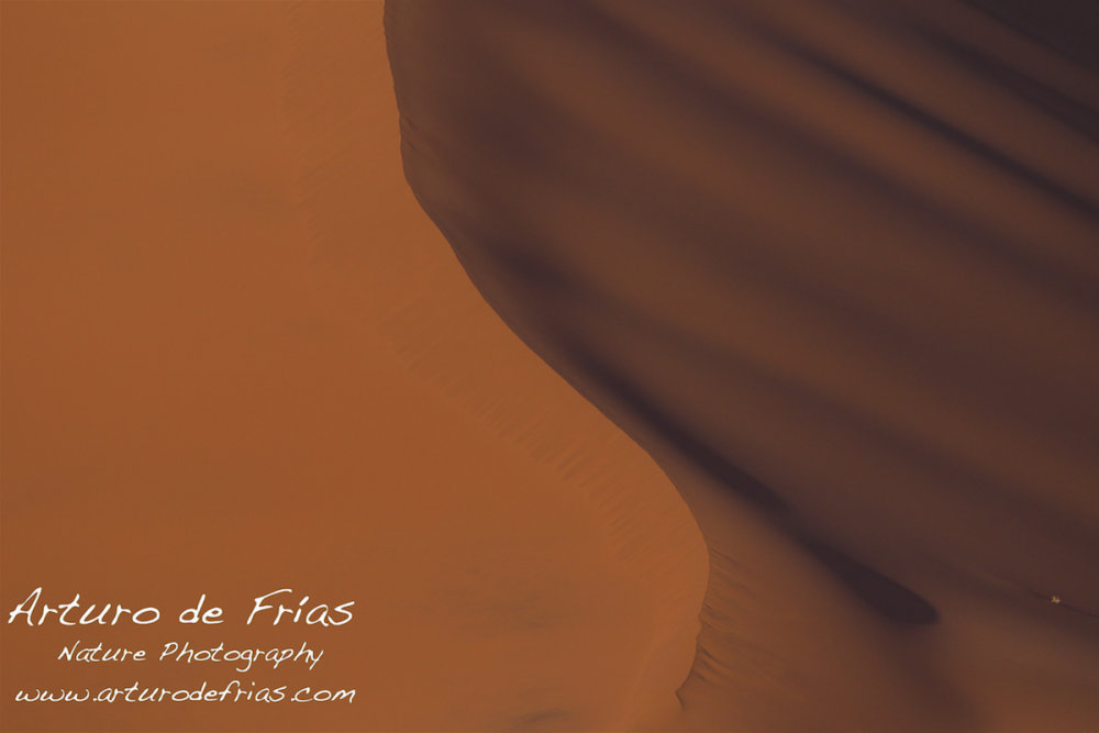 Red Dunes Abstract 1