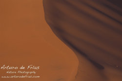 Red Dunes Abstract 1
