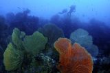 Raja Ampat, Indonesia
