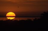 Sunset, Pantanal, Brazil