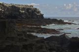 Lava Coast, Galapagos
