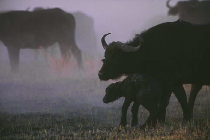 New born in danger