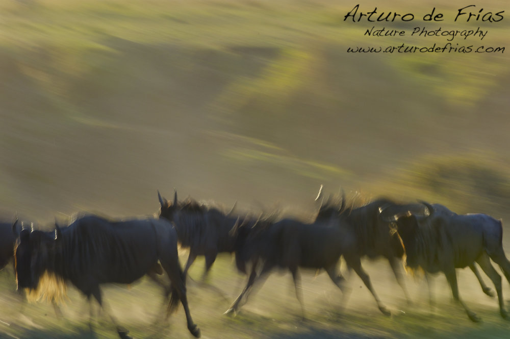 On the move