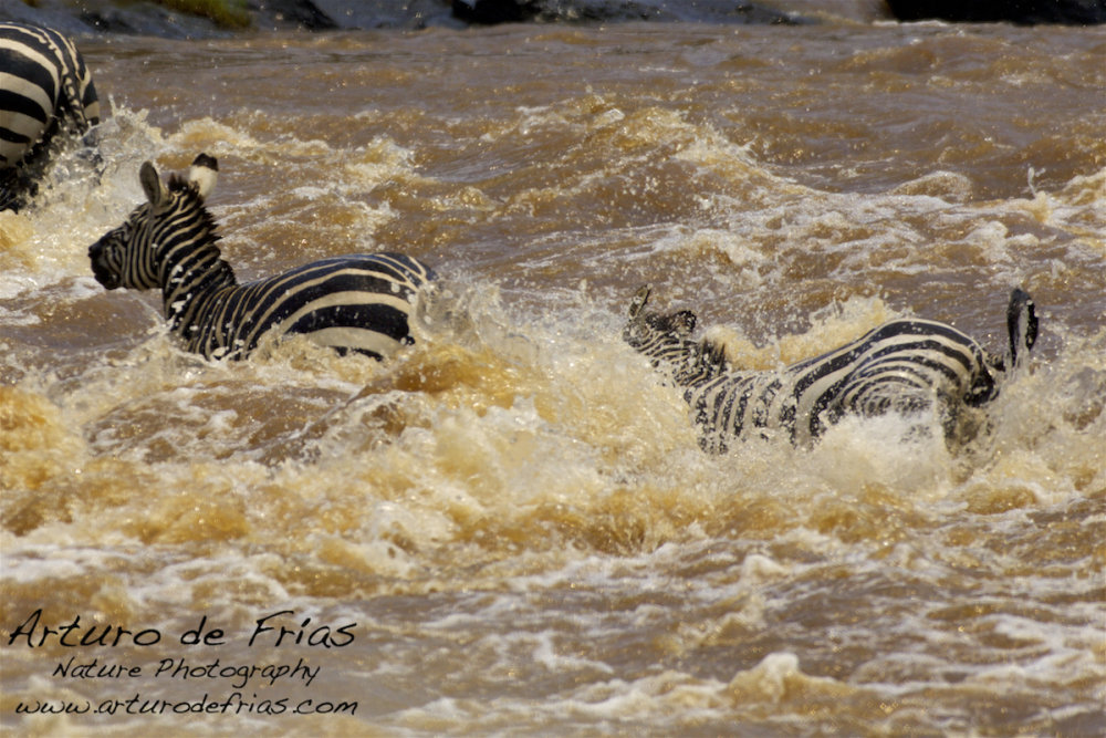 Mighty River I
