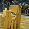 Royal Museum Benches