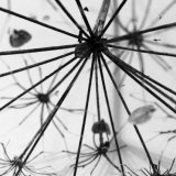 Beginners art course: Explore art through nature and nature through art