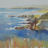 St Abbs Head, Berwickshire