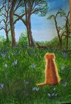 Bluebell Walk