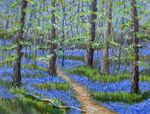 Bluebell Wood