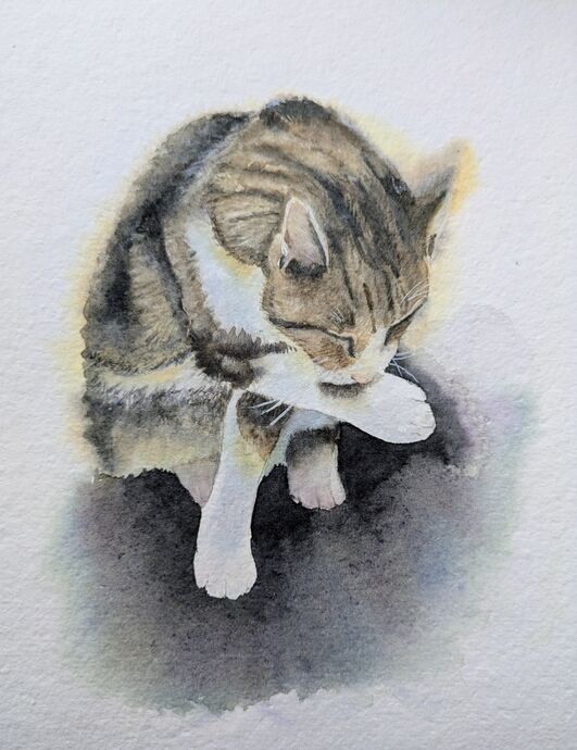 Cat Washing himself