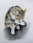 Cat Washing himself