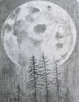 Saturday Drawing Class