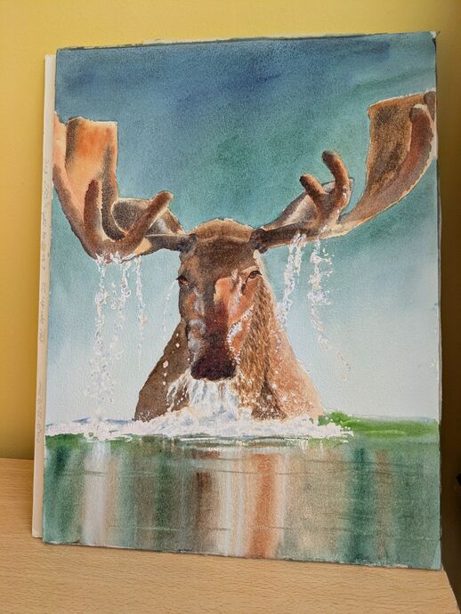 Moose - Watercolour