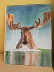 Moose - Watercolour