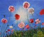 Poppies in the Sunshine (Acrylic)