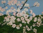 Apple Blossom