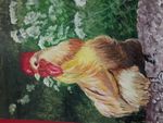 Hen