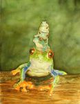 Holly's Frogs