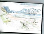 New Zealand Drawing with Watercolour