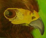 Laura's Bird of Prey
