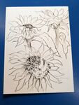 Sunflowers in Pen