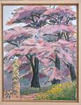 Charlecote Cedars