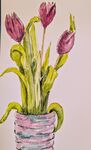 Tulip Watercolour