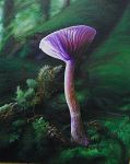 Tony's Mushroom