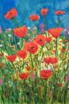 Poppyseed watercolour