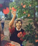 Picking Oranges