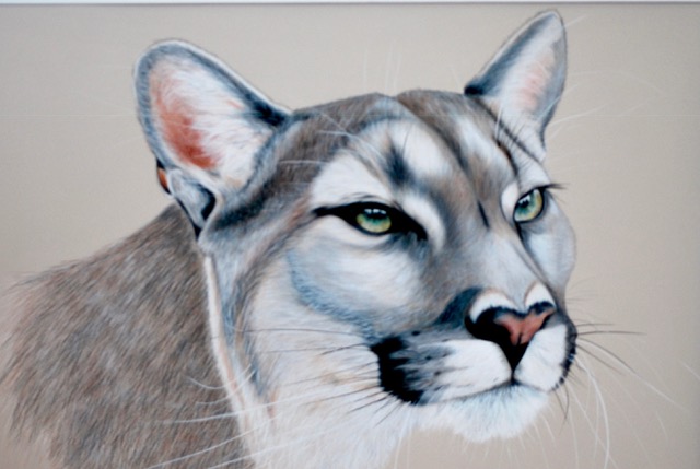 Cougar by Desiree Hart
