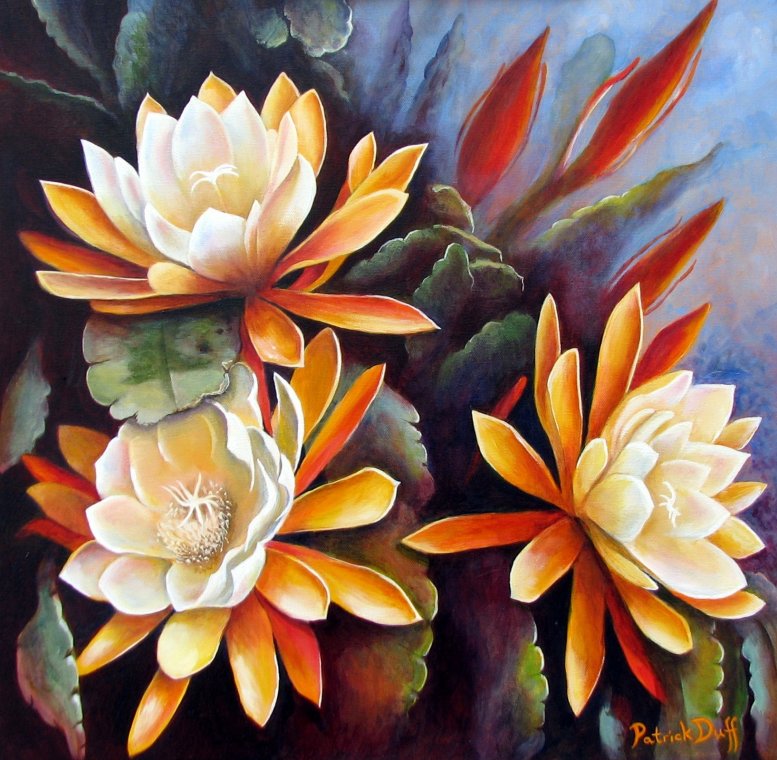 Crowns of gold by Pat Duff