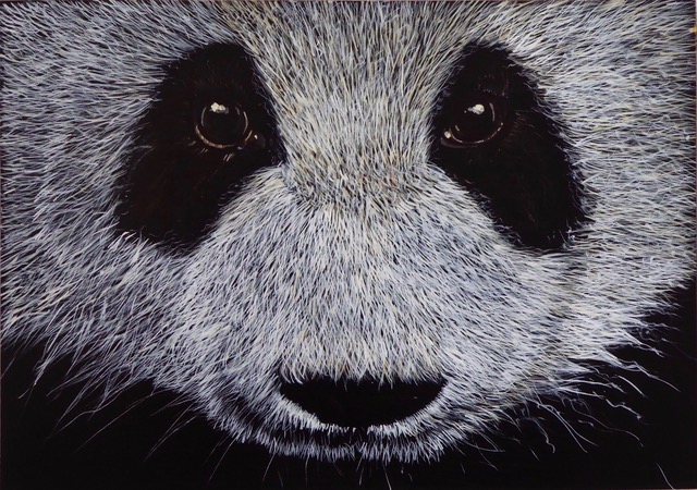 Giant Panda by Desi Hart